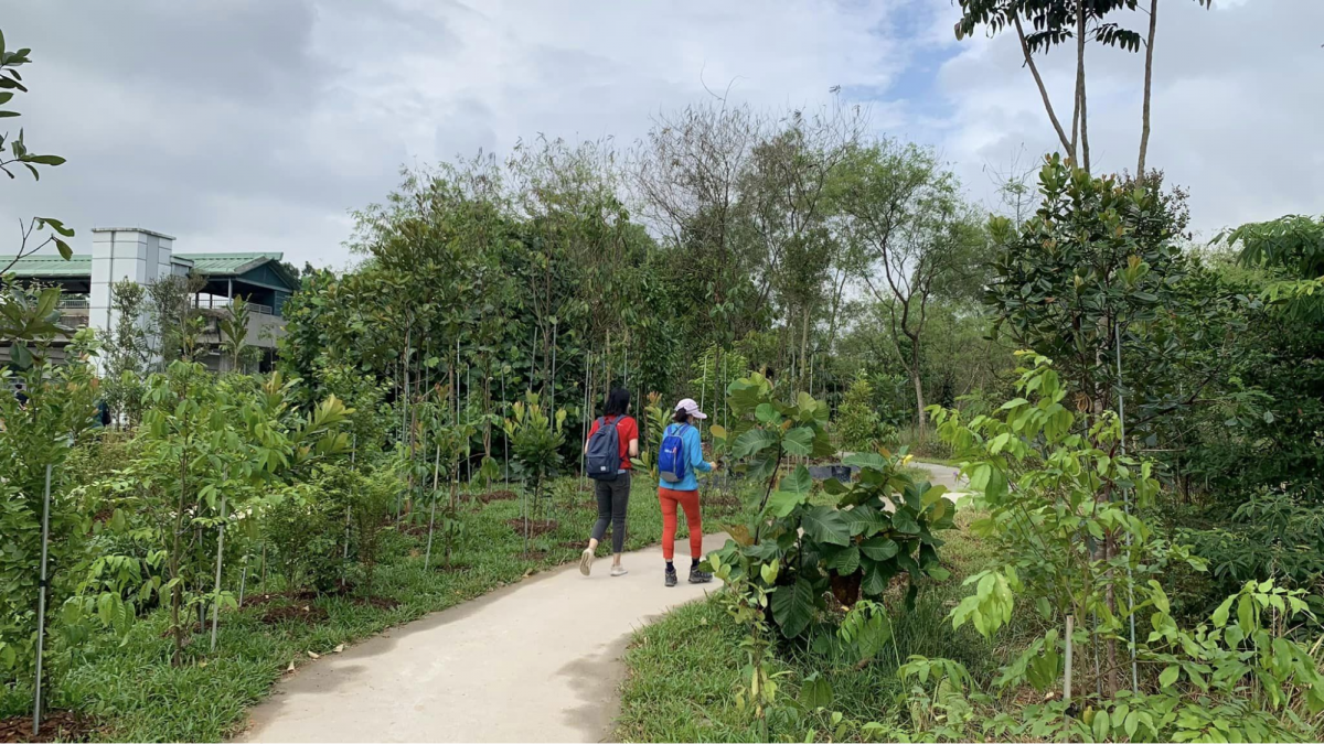 Rail Corridor (North) in Singapore