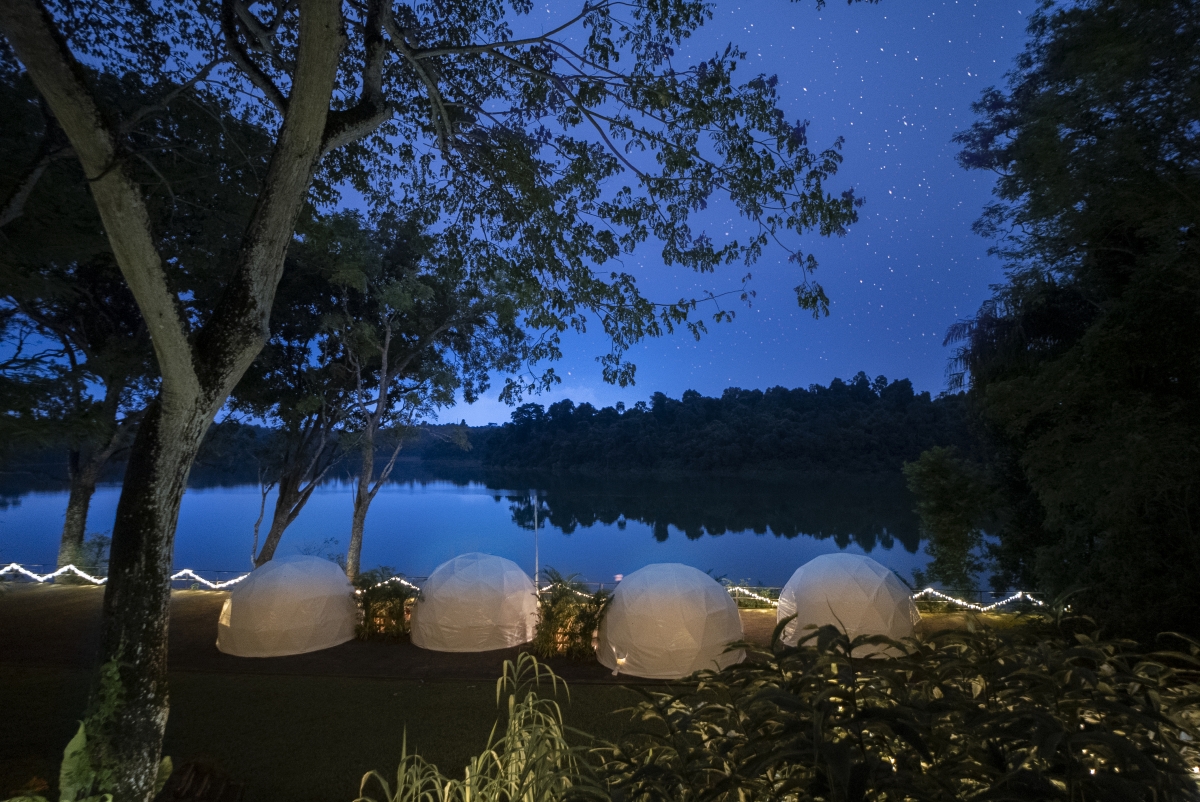 Singapore Zoo Glamping