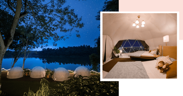 New Luxurious Air-Con Dome Glamping At Singapore Zoo Comes With Breakfast, Elephant Feeding & More