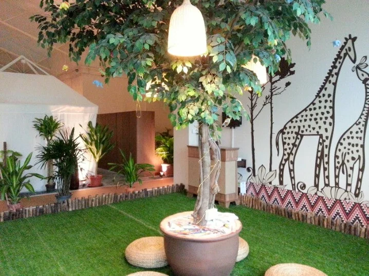 Masego the Safari Spa Singapore