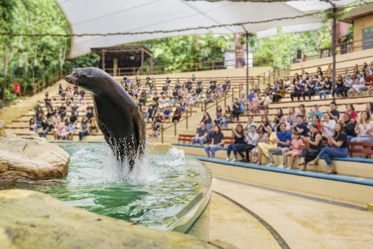 Singapore Zoo Splash Safari Presentation