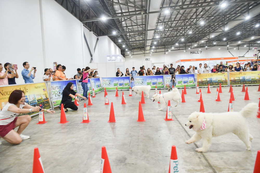 PetExpo 2023 Singapore