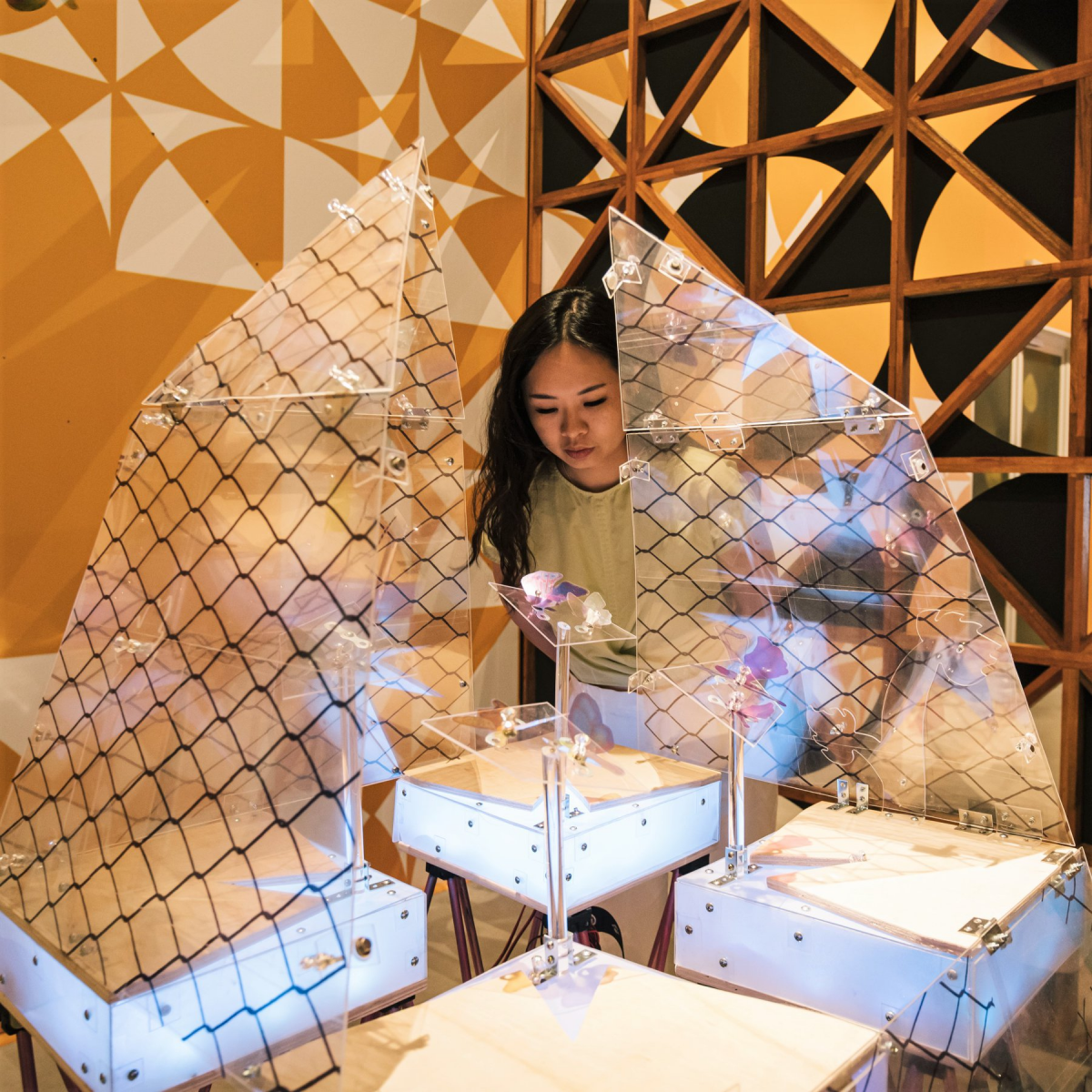 Dance in the Destruction Dance at SAM