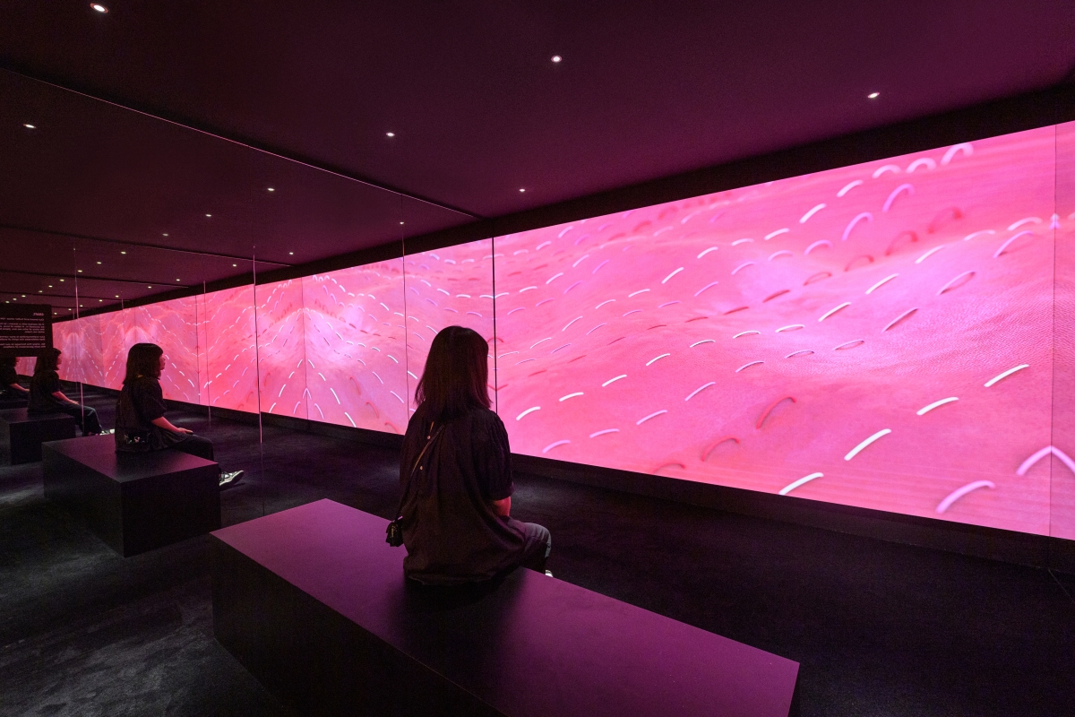 Coach World Art Experience