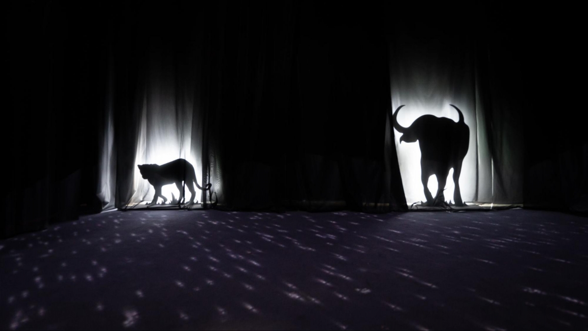 Scenic Odyssey Singapore ArtScience Museum