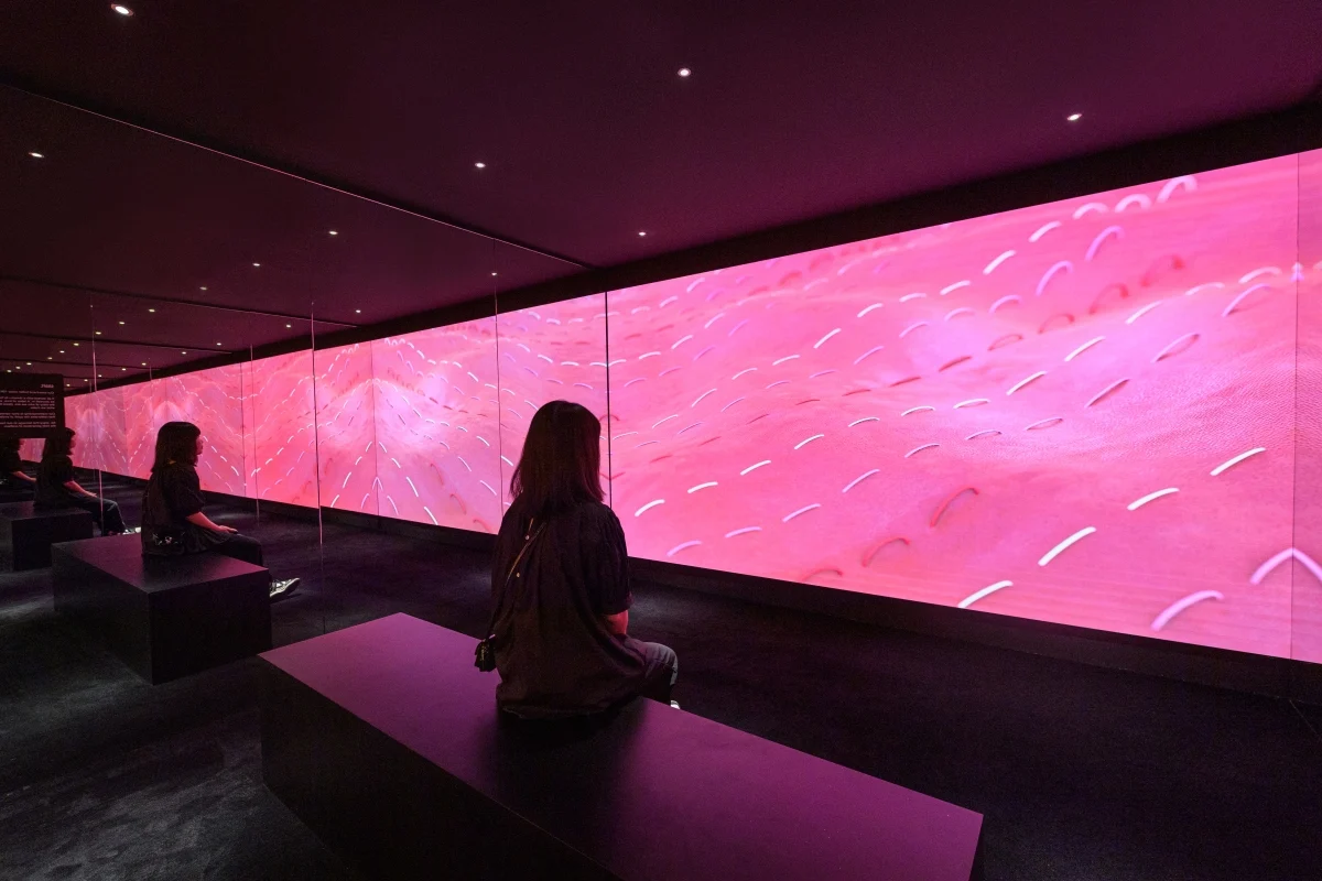 Coach Play Singapore Shophouse