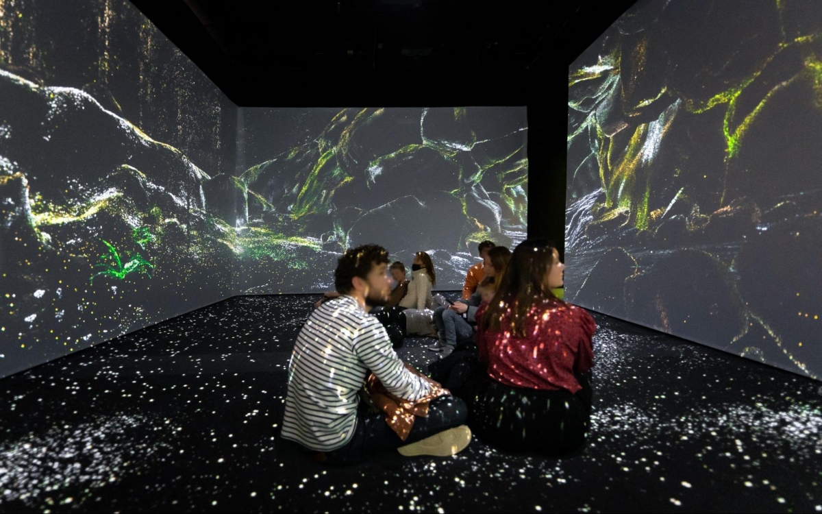 Scenic Odyssey Singapore ArtScience Museum