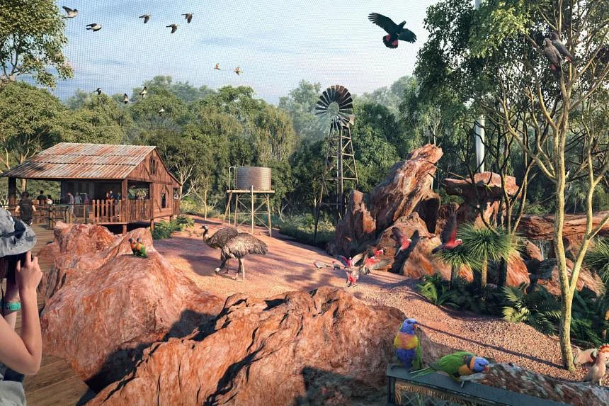 Bird Paradise Singapore bird park