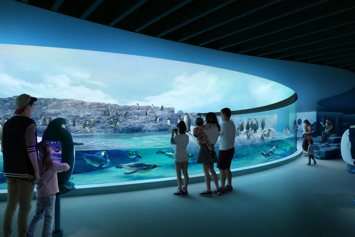 Bird Paradise Singapore bird park