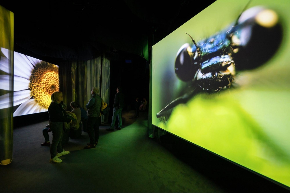 Scenic Odyssey Singapore ArtScience Museum