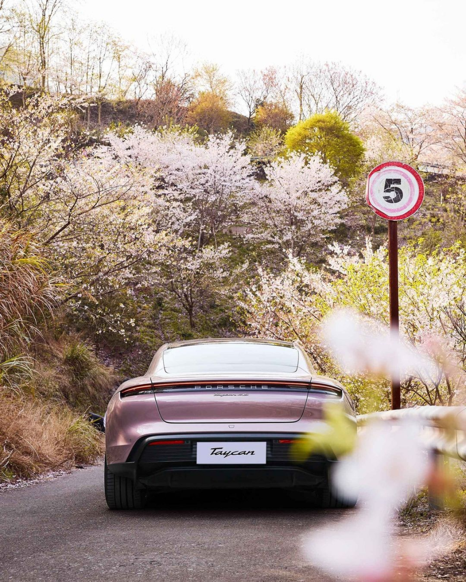 Porsche Taycan Frozen Berry