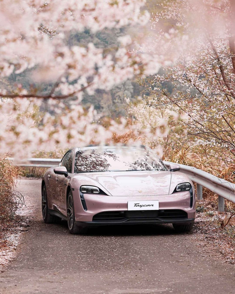 Porsche Taycan Frozen Berry