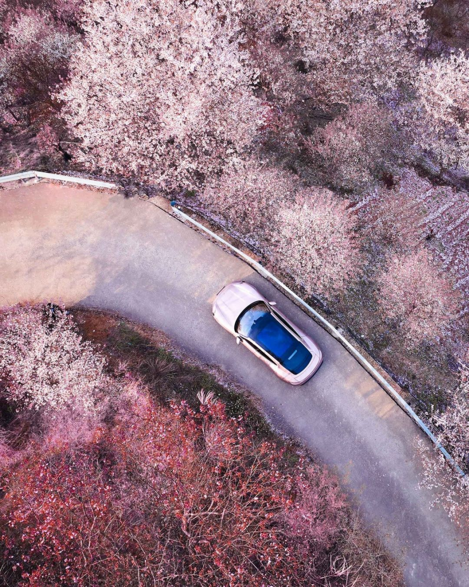 Porsche Taycan Frozen Berry