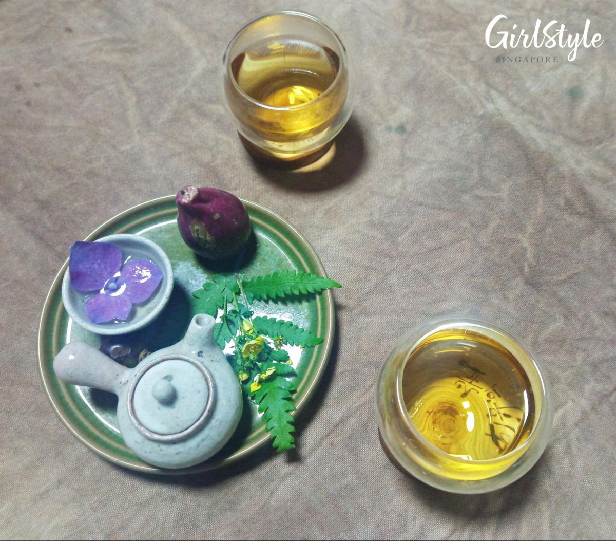 Seogwipo Healing Forest tea appreciation Jeju Korea