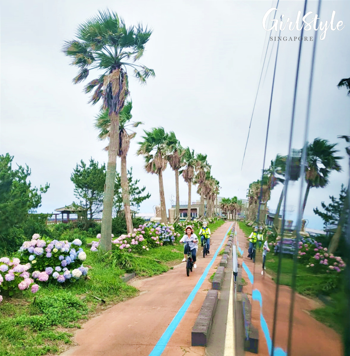 BY100 cycling at Jeju Korea
