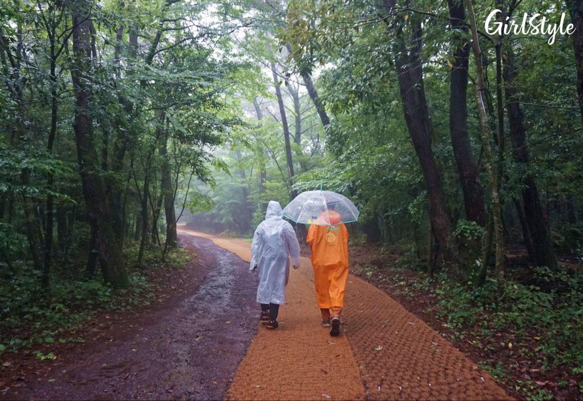 Seogwipo Healing Forest Jeju Korea