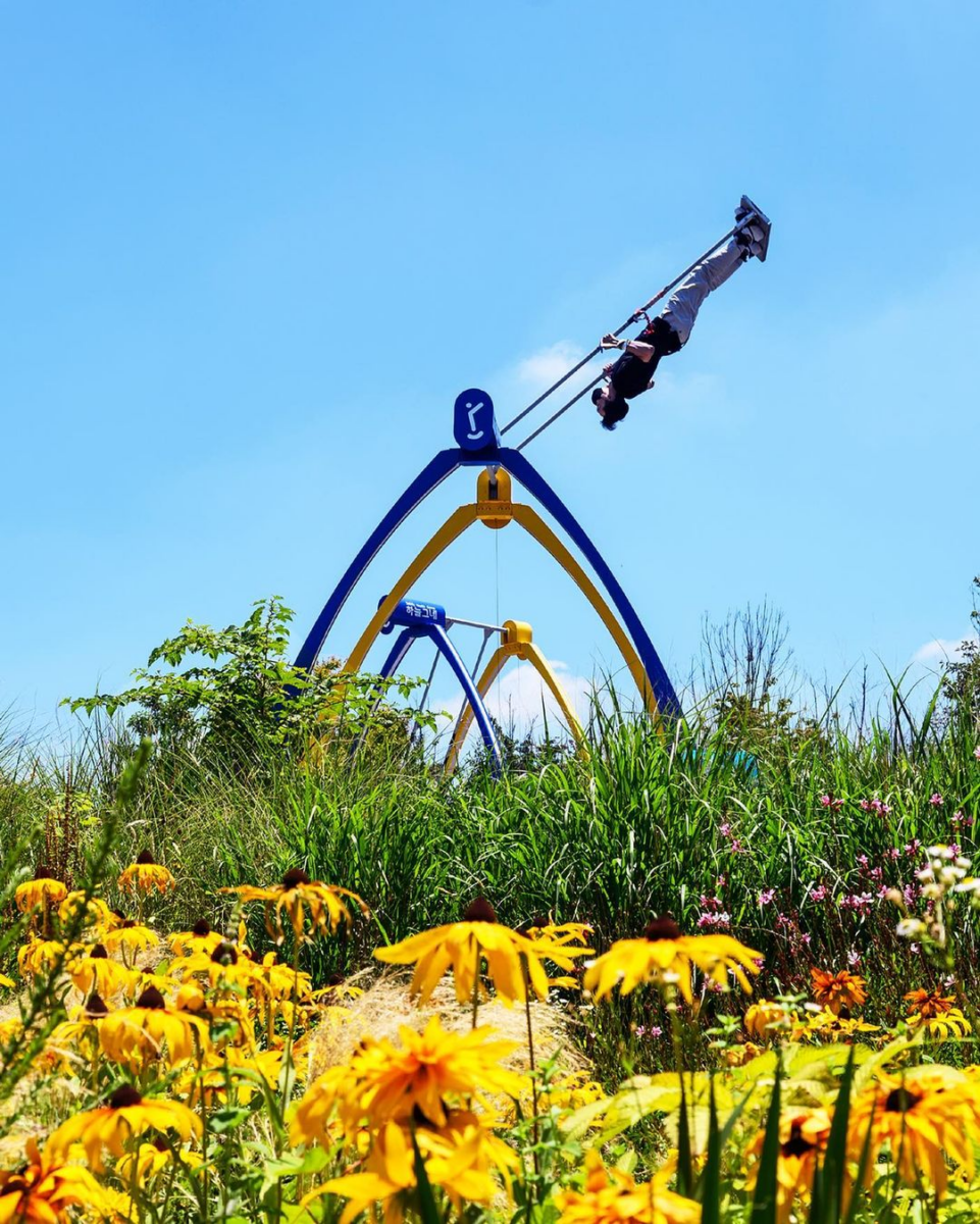 9.81 Park Jeju 360-degree Heal Swing