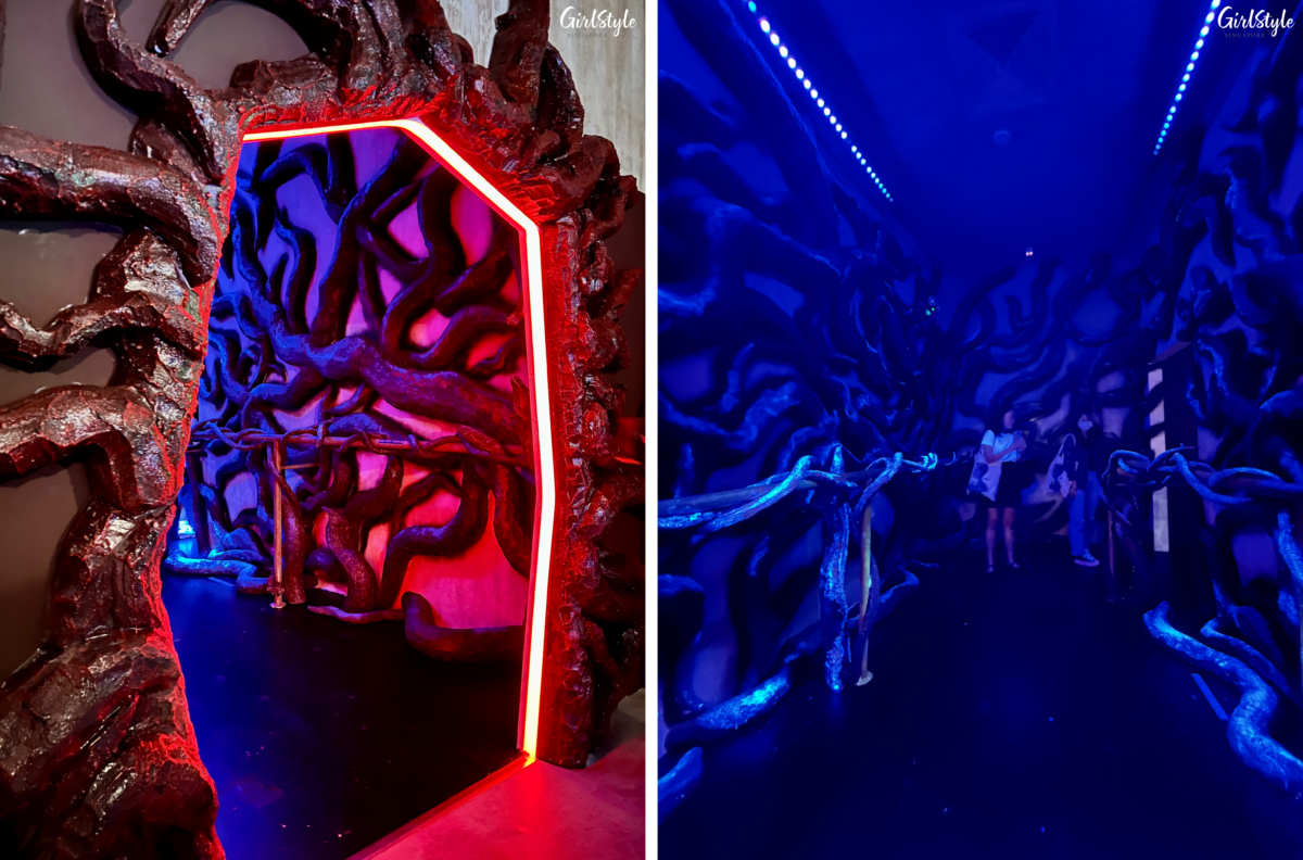 Entrance to The Upside Down