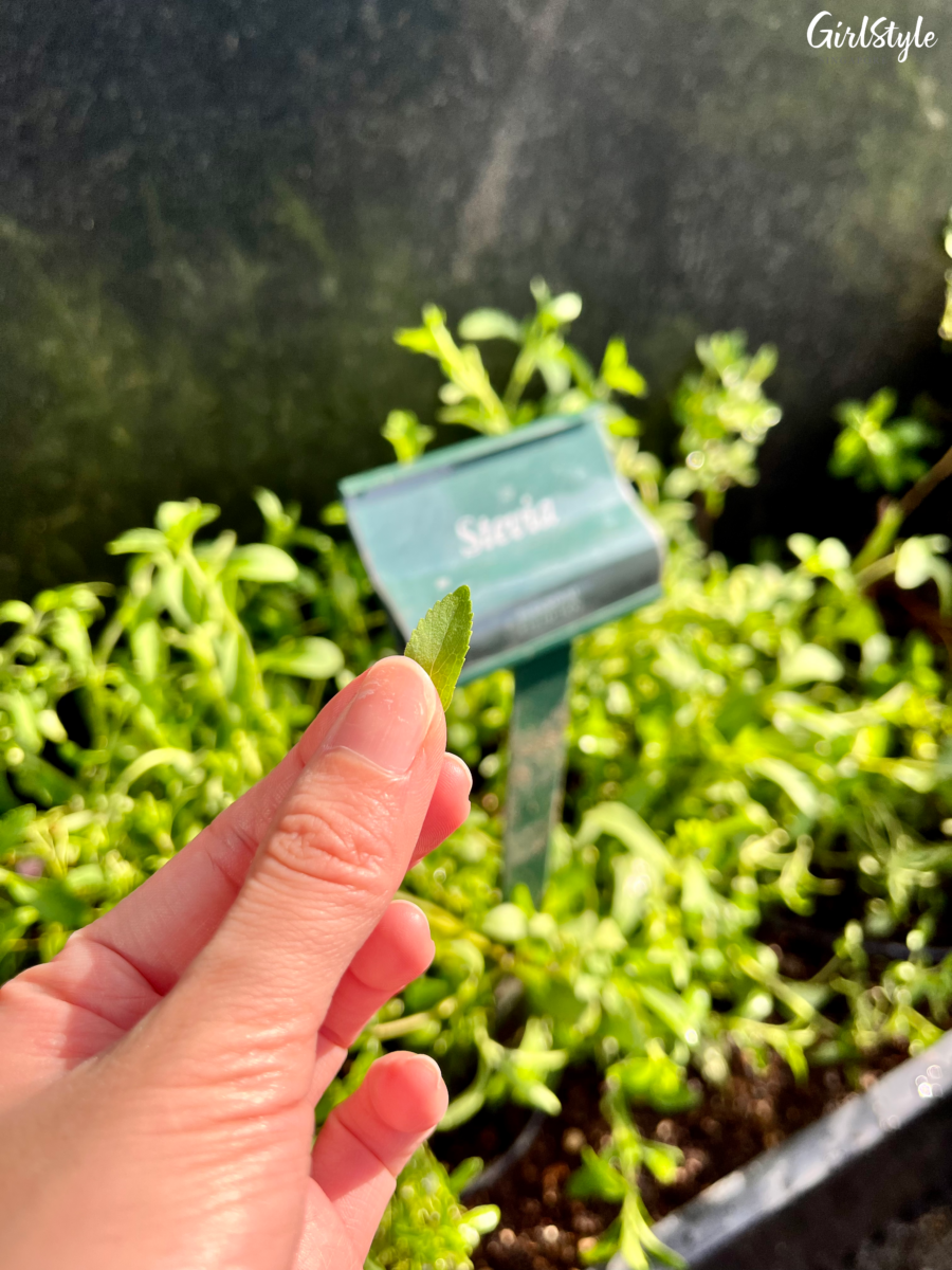 Urban Farm at PARKROYAL COLLECTION Pickering