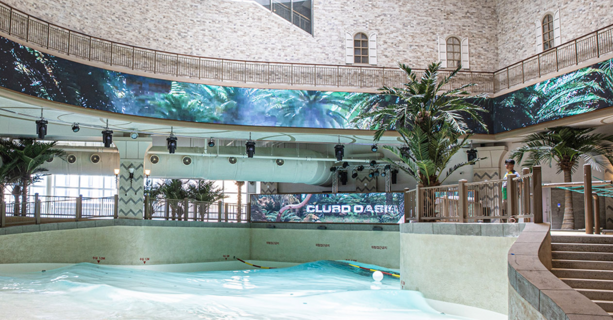 The Palm