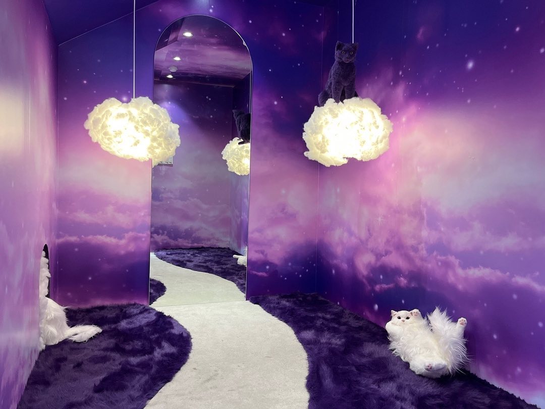 Fantasy Room at the NERDY Flagship Store