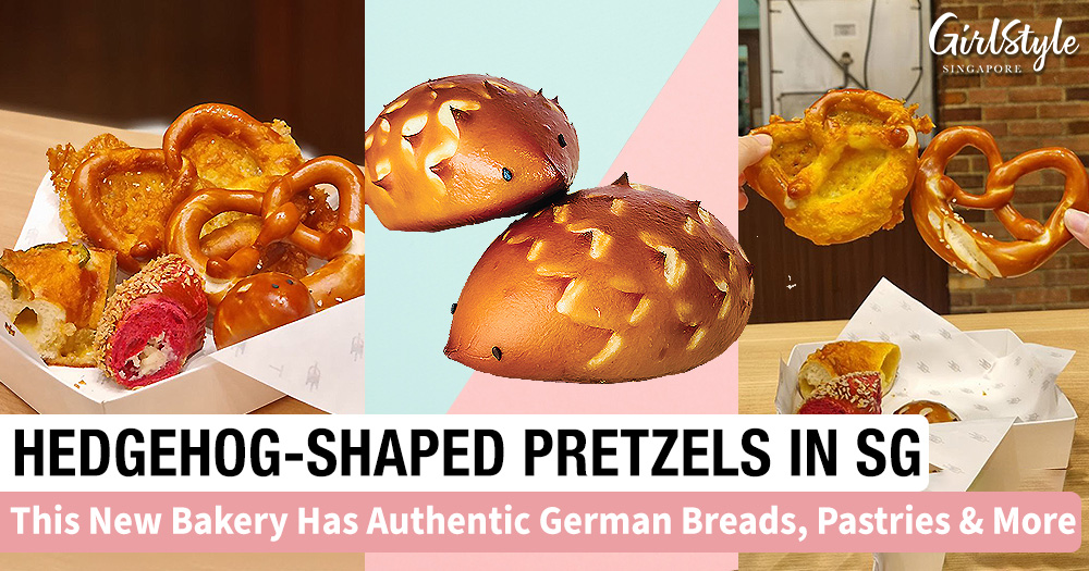 Can Hedgehogs Eat Pretzels at Eric Bradley blog