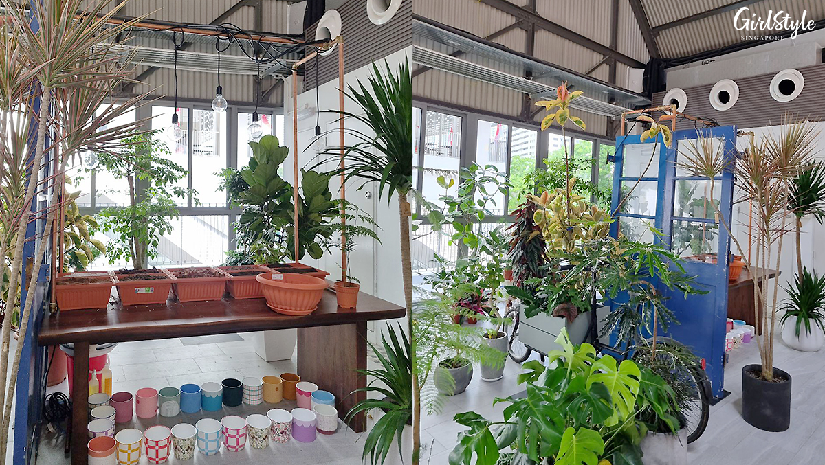 The Conservatory @ Margaret Market