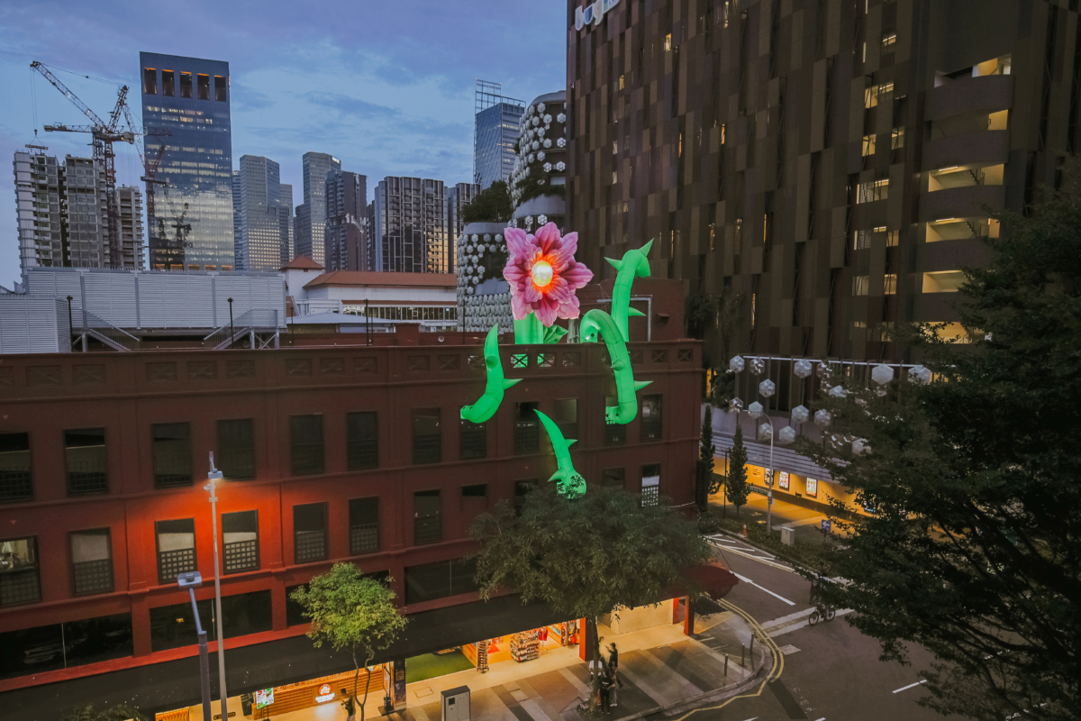 Florescence by Kristal Melson