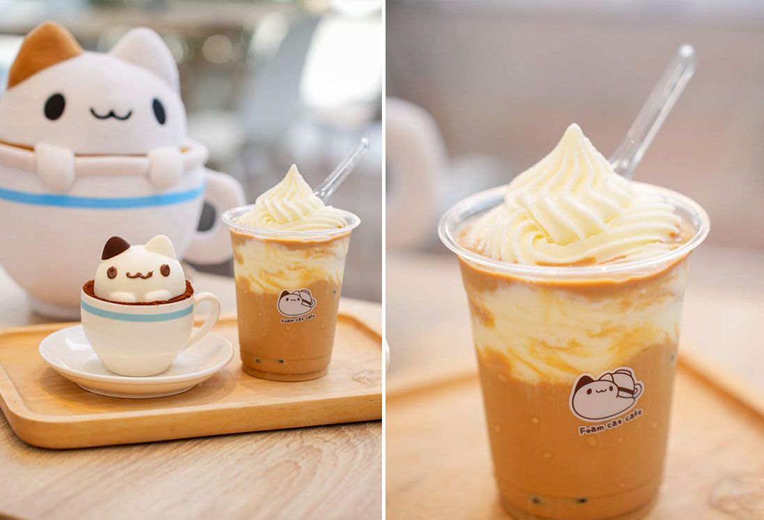 Foam Cat Hot Cappuccino & Ice Cream Float Cocoa