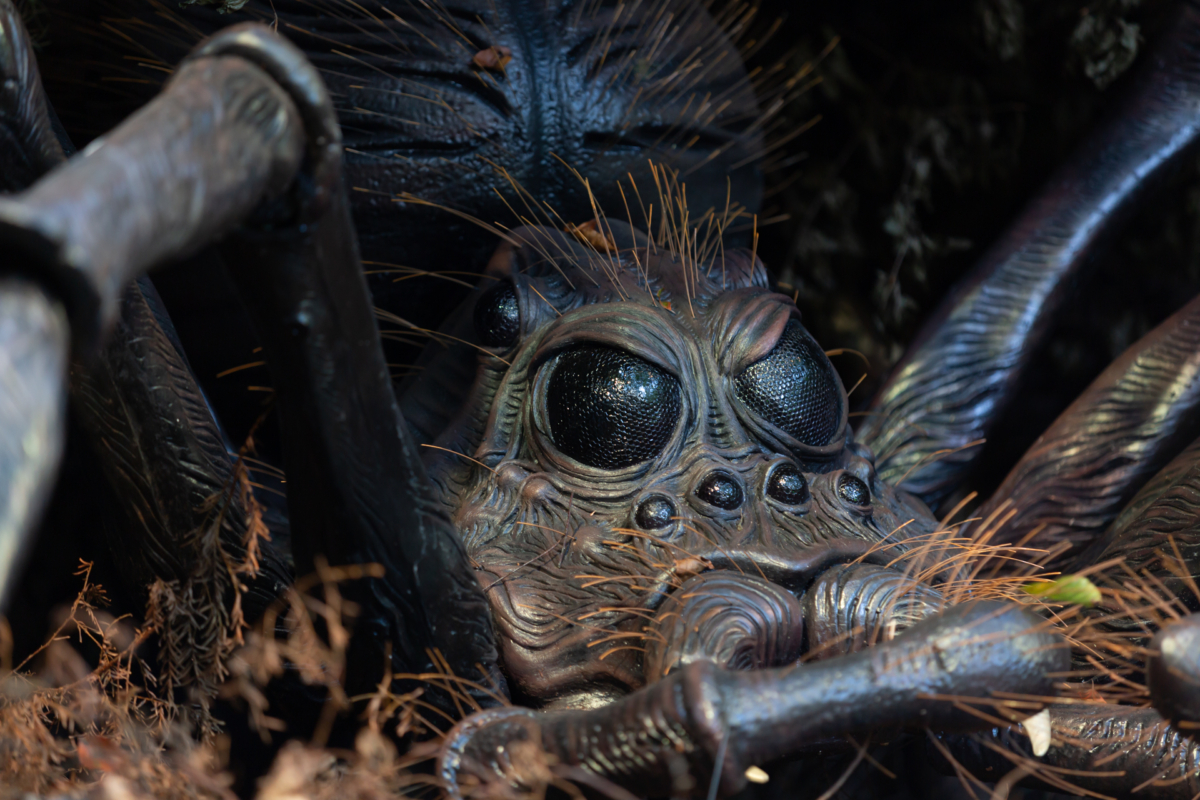 Harry Potter: A Forbidden Forest Experience