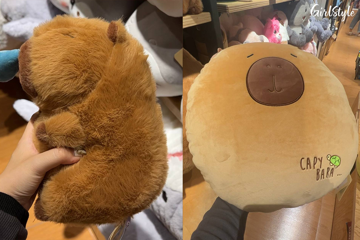 Capybara Plushies & Cushions