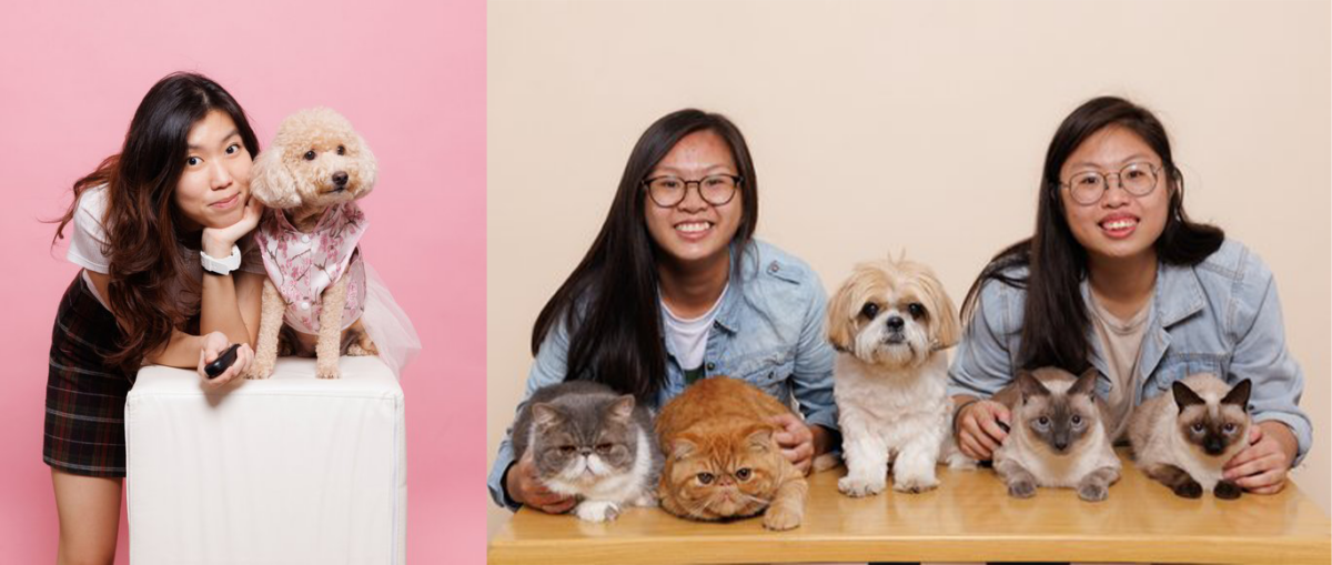 Pawtastic Memories photo studio by Hoshi Studios