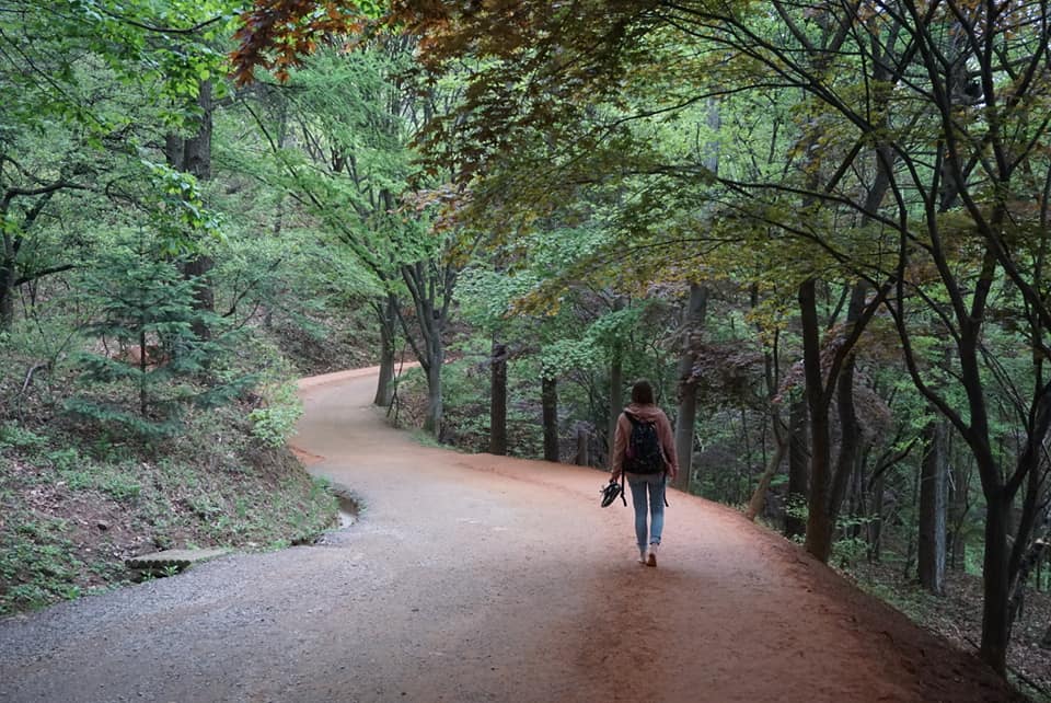 Gyejoksan Red Clay Trail