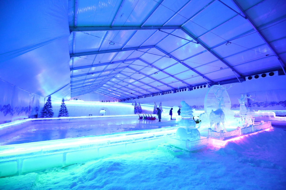 Ice Magic: Winter Wonderland