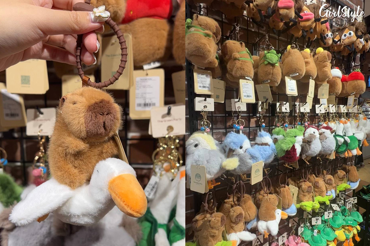 Capybara Keyrings