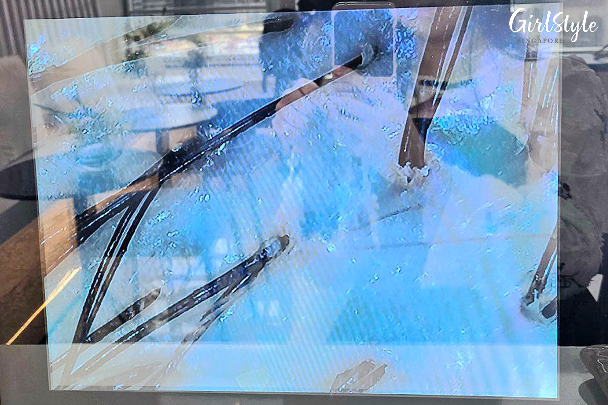 Scalp scan taken before the treatment