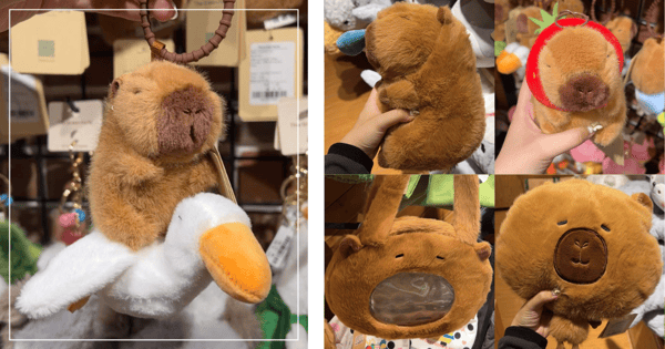The Green Party Has Launched A Cuddly Capybara Collection With Fuzzy Bags, Cushions & Keyrings