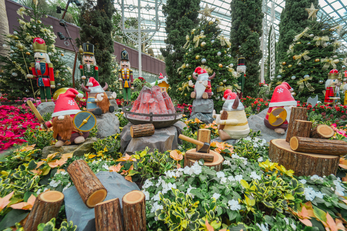 Poinsettia Wishes: A Nordic Christmas Adventure