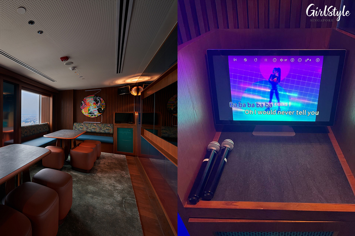 Private Entertainment Room & Karaoke System