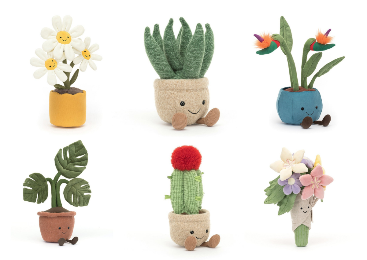 From left: Daisy, Aloe Vera, Bird of Paradise, Monstera Plant, Moon Cactus, Bouquet of Flowers