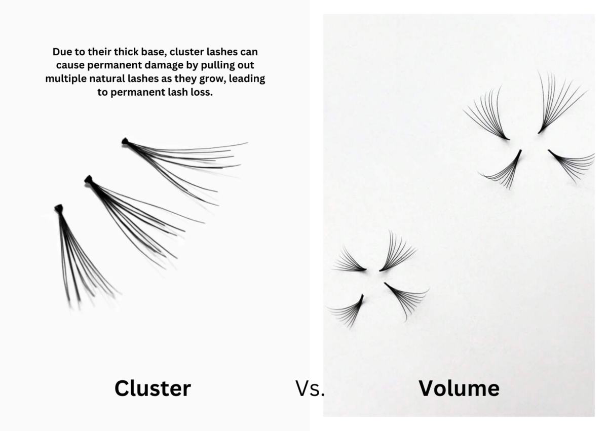 Cluster Lash Vs Volume Lash