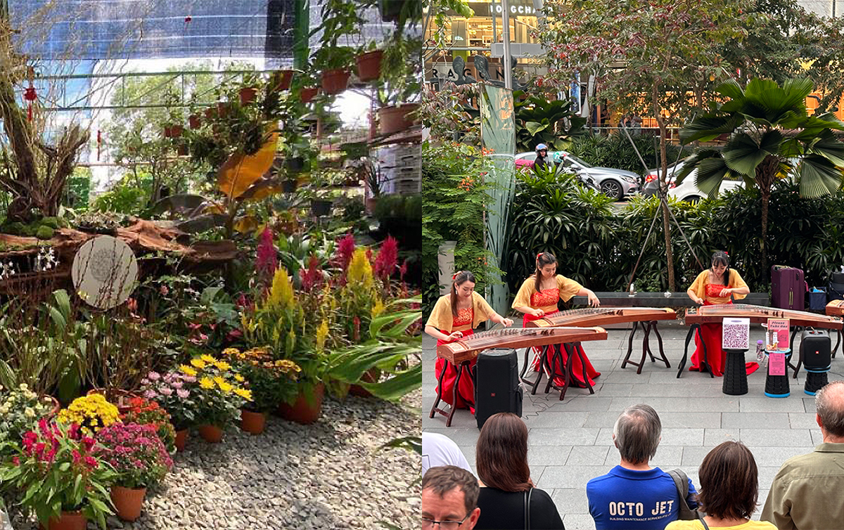 Planters Market & Guzheng Ensemble Performances