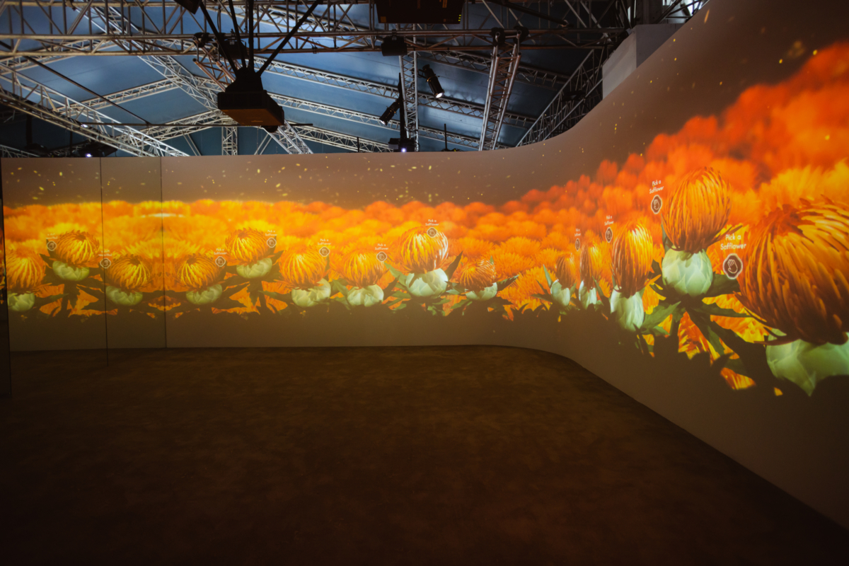 Interactive immersive digital safflower field