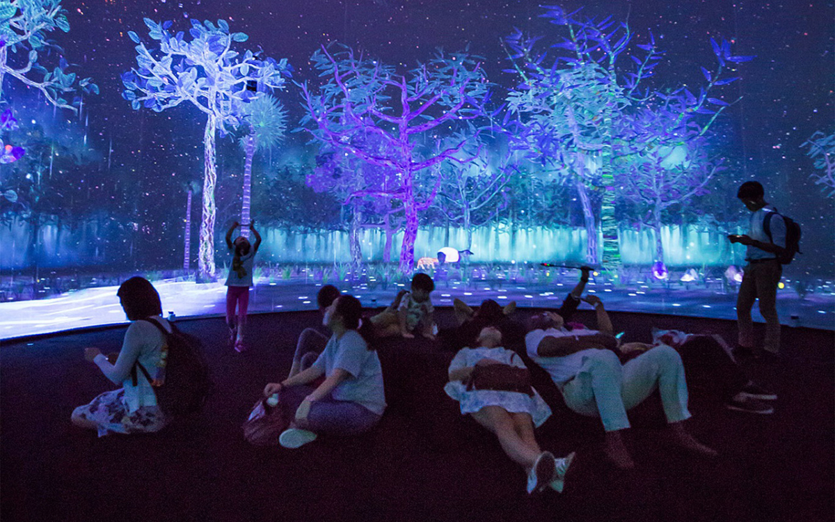 Story of the Forest by teamLab