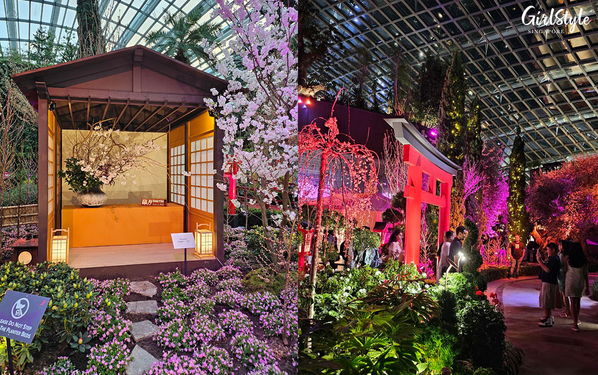 Light-up floral displays