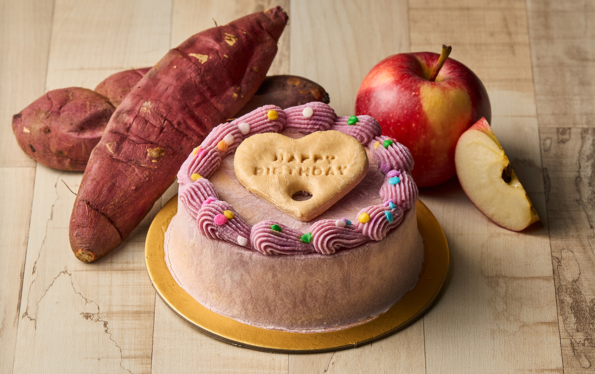 Apple Chiffon Cake with Sweet Potato Tofu Frosting