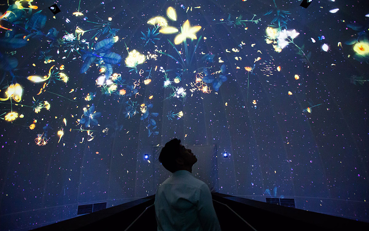 Story of the Forest by teamLab