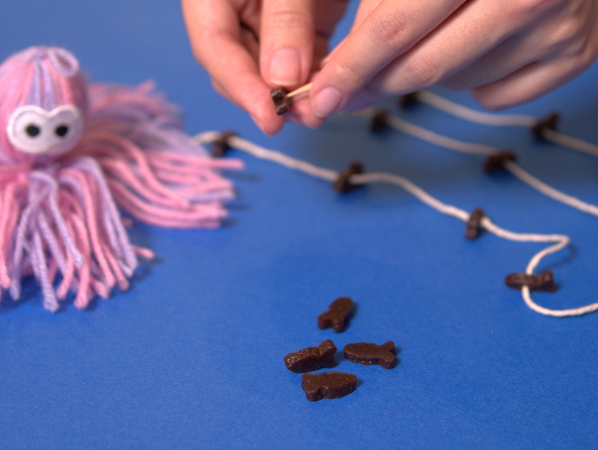 Switch up your cat teaser by attaching it to a string of Catnibbs