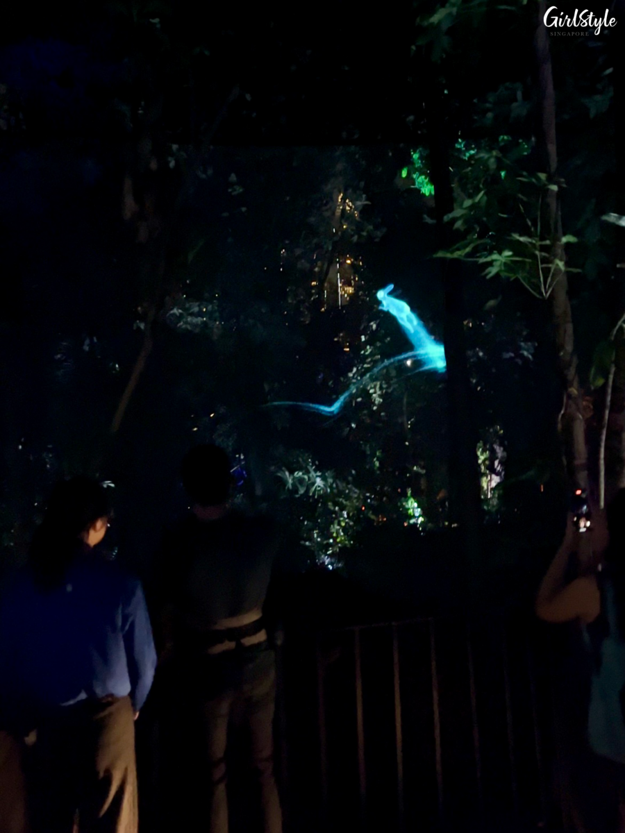 Patronus spell-casting