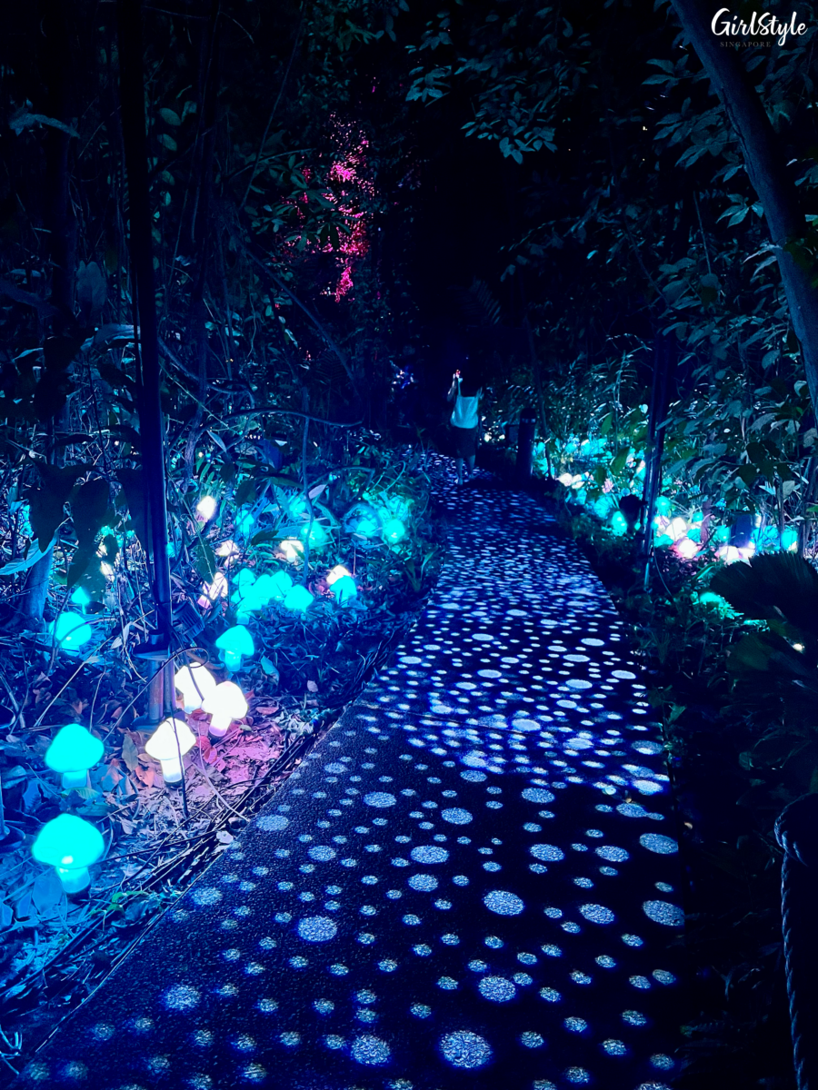 Trail of illuminated mushrooms